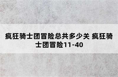 疯狂骑士团冒险总共多少关 疯狂骑士团冒险11-40